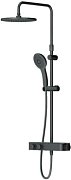 Душевая стойка AM.PM Inspire V2.0 F0750A422 черный